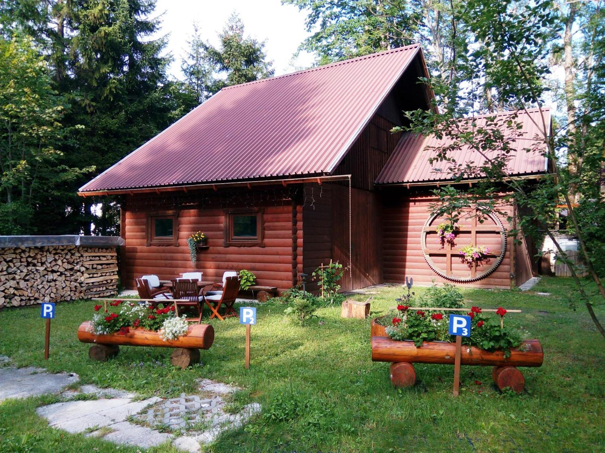 Farm Kosir Vila Kranjska Gora Exterior foto