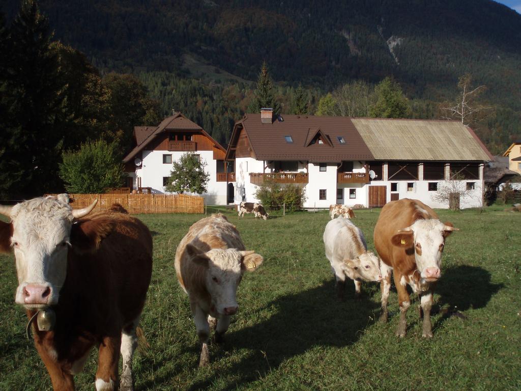Farm Kosir Vila Kranjska Gora Exterior foto