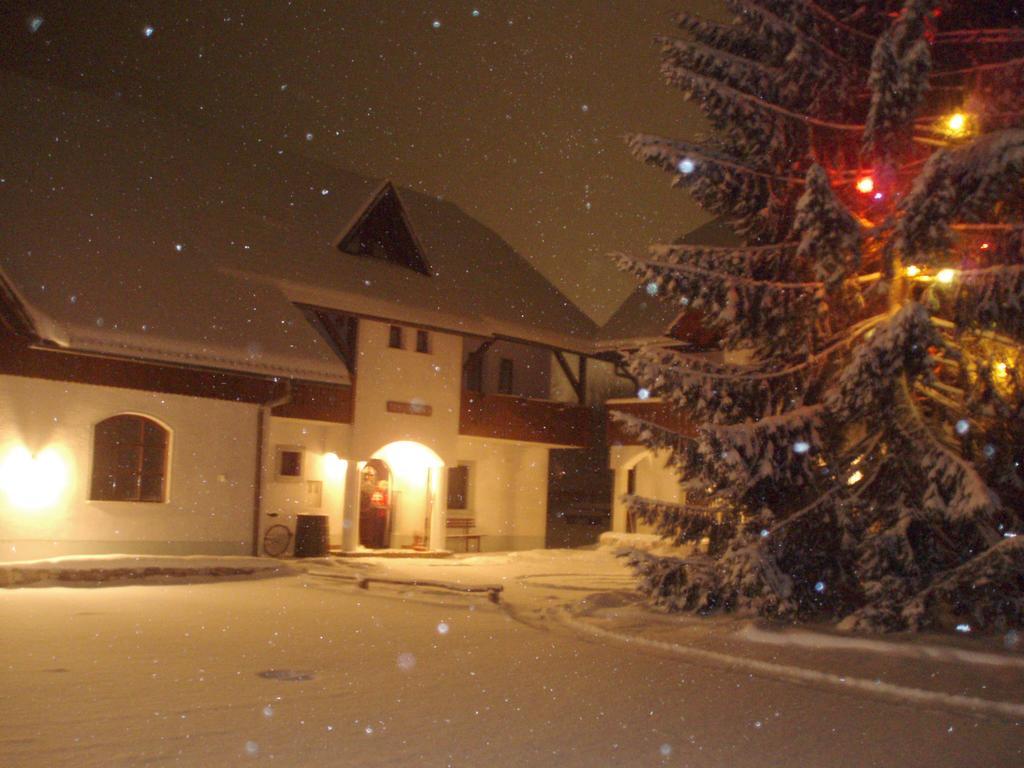 Farm Kosir Vila Kranjska Gora Exterior foto