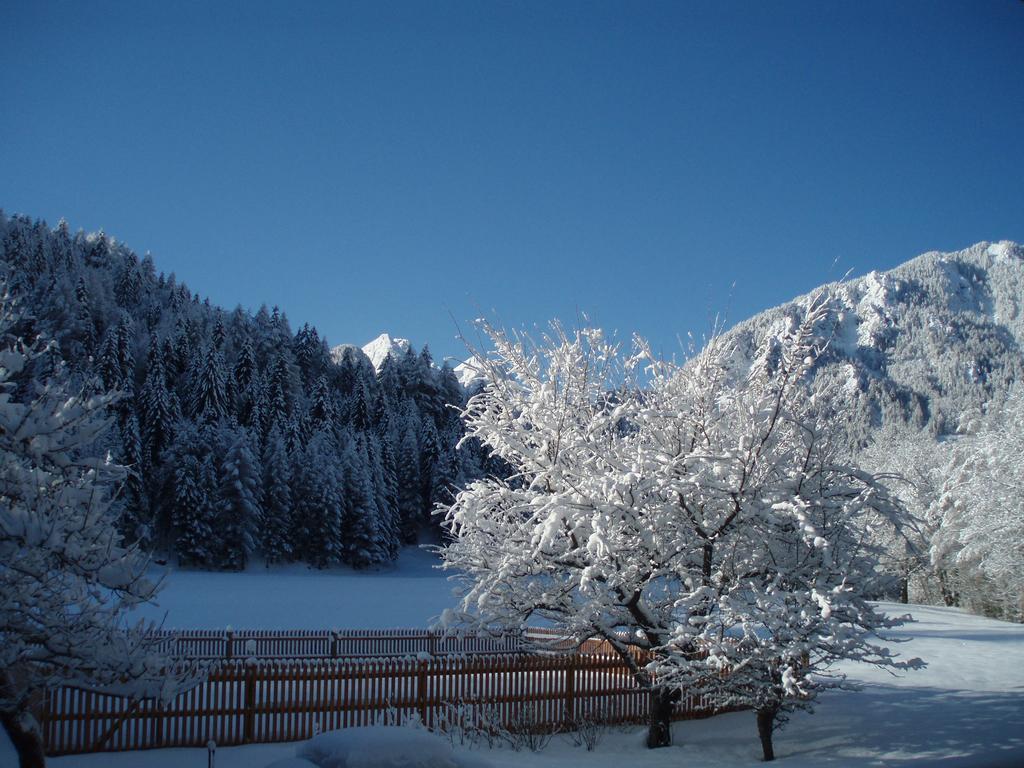 Farm Kosir Vila Kranjska Gora Exterior foto