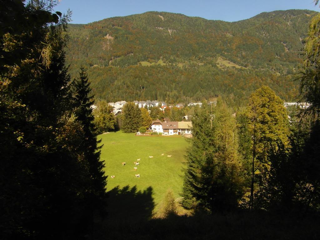 Farm Kosir Vila Kranjska Gora Exterior foto