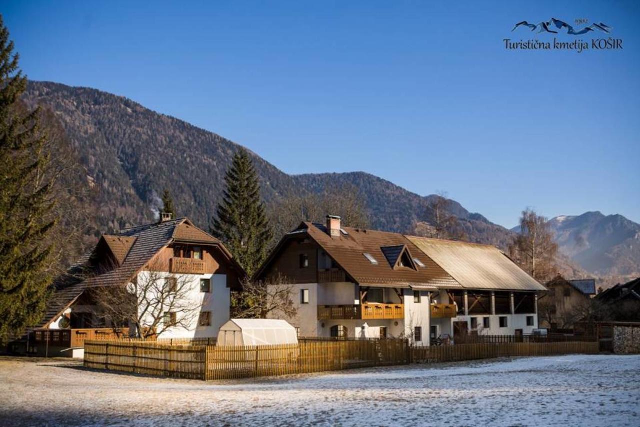 Farm Kosir Vila Kranjska Gora Exterior foto